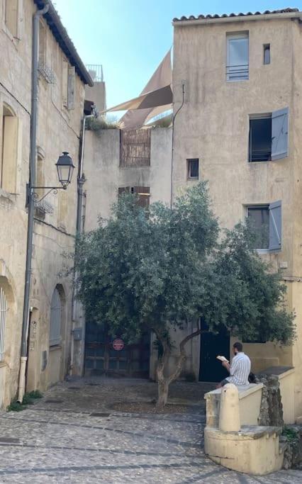 Cosy Au Coeur De L'ecusson Apartamento Montpellier